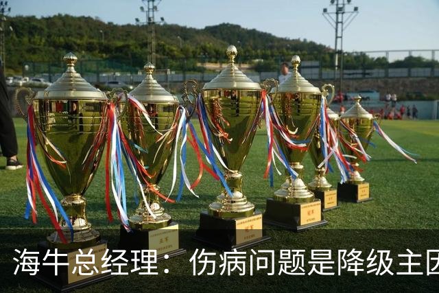 海牛总经理：伤病问题是降级主因，力争迅速回归中超